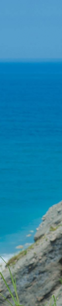 ����ͼ���͡���ͭɫ�������У�