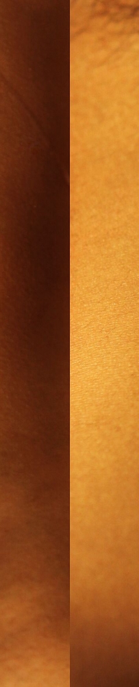 ��������������ĸ���λ���Ը�