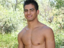 ��ϲ���Ļ�Ѫ��˧��