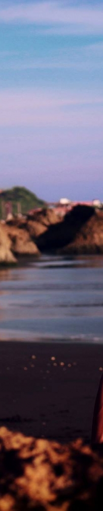 ����ζ-�����ã�