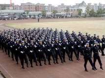 ά����ѡѡ���У����ݵ�����