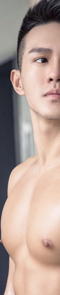 ��ͼ��������ۡ����� ������