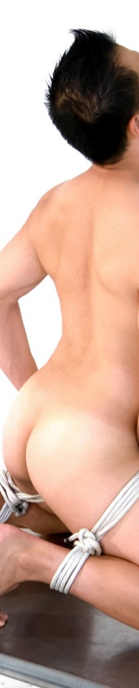 ����ζ-�����ԸУ�������