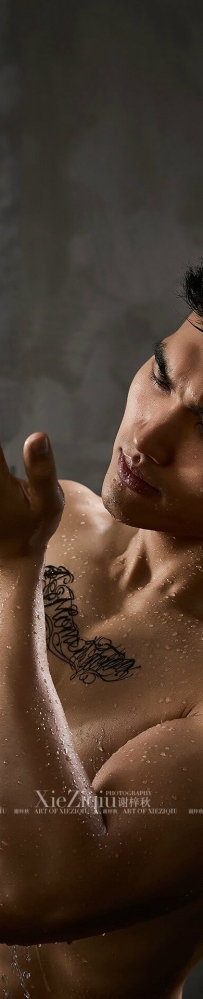 �������������п�������������